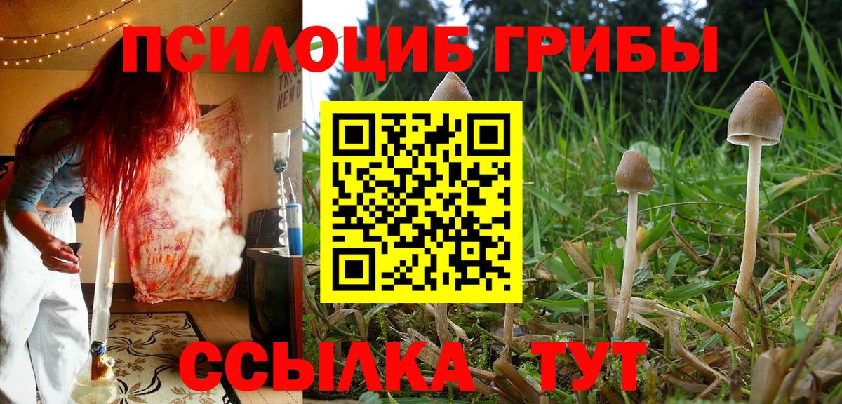 Галлюциногенные грибы мицелий Белорецк